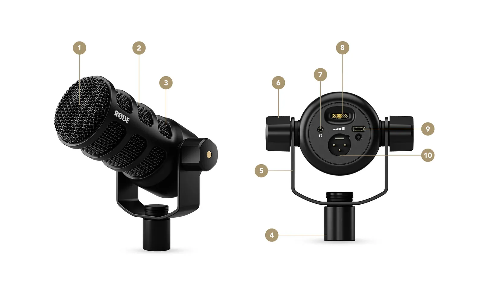 RØDE PodMic USB anatomy: numbered views of the body and rear panel